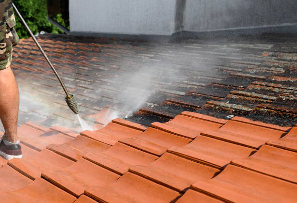 Best Local Pressure Washing Services  in Oakdale, MN